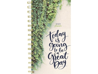 2020 TF Publishing 3.5 x 6.5 Planner, Green Day, Multicolor (20-7537)