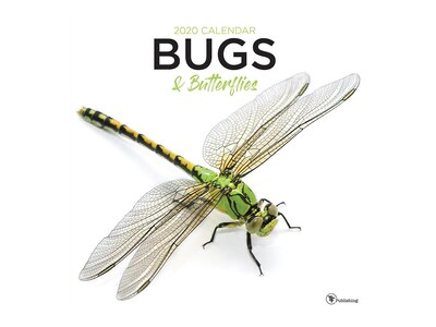 2020 TF Publishing 12 x 12 Wall Calendar, Bugs and Butterflies, Multicolor (20-1053)