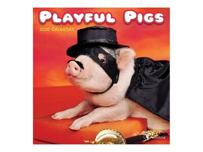 2020 TF Publishing 7 x 7 Mini Wall Calendar, Playful Pigs, White (20-2035)
