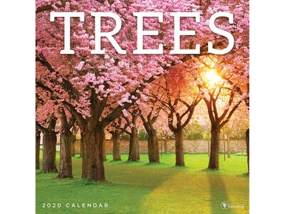 2020 TF Publishing 12 x 12 Wall Calendar, Trees, Multicolor (20-1109)