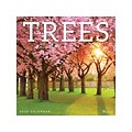 2020 TF Publishing 12 x 12 Wall Calendar, Trees, Multicolor (20-1109)