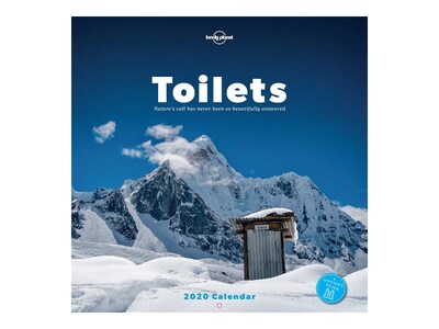 2020 TF Publishing 12 x 12 Wall Calendar, Toilets: Natures Call Has Never Been So Beautifully Answered, White (20-1091)