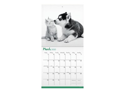 2020 TF Publishing 12 x 12 Wall Calendar, Furry Friends, Multicolor (20-1067)