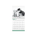 2020 TF Publishing 12 x 12 Wall Calendar, Furry Friends, Multicolor (20-1067)
