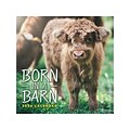 2020 TF Publishing 12 x 12 Wall Calendar, Born in a Barn, Multicolor (20-1004)