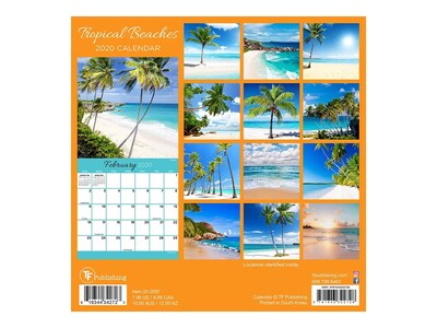2020 TF Publishing 7 x 7 Mini Wall Calendar, Tropical Beaches, Multicolor (20-2097)