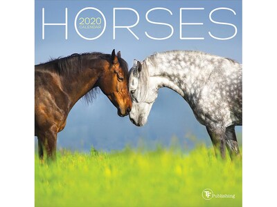 2020 TF Publishing 7 x 7 Wall Calendar, Horses Mini, Multicolor (20-2007)