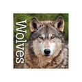 2020 TF Publishing 12 x 12 Wall Calendar, Wolves, Multicolor (20-1012)