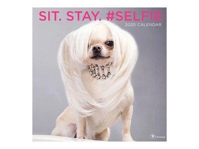 2020 TF Publishing 12 x 12 Wall Calendar, Sit Stay Selfie - Dogs, Multicolor (20-1005)