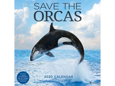 2020 TF Publishing 12 x 12 Wall Calendar, Save the Orcas, Multicolor (20-1186)