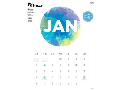 2020 TF Publishing 22 x 17 Wall Calendar, Paint Circle Large Art, Multicolor (20-8204)