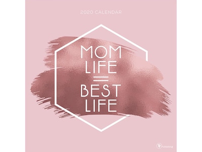 2020 TF Publishing 12 x 12 Wall Calendar, Mom Life, Multicolor (20-1083)