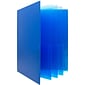 JAM Paper Heavy Duty 10-Pocket Plastic Folder Organizer, Blue, 2/Pack (389MP10BUJ)