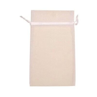 JAM PAPER Sheer Bags, Large, 5 12/ x 9, White, Bulk 96 Bags/Box (SPC24K1B)