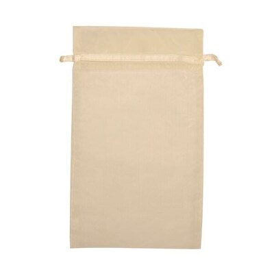 JAM PAPER Sheer Bags, Large, 5 12/ x 9, Ivory, Bulk 96 Bags/Box (SPC24K2B)