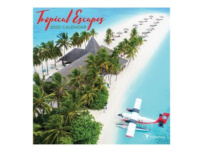 2020 TF Publishing 7 x 7 Mini Wall Calendar, Tropical Escapes, Multicolor (20-2110)