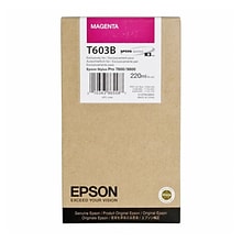 Epson T603 Magenta Standard Yield Ink Cartridge, Each