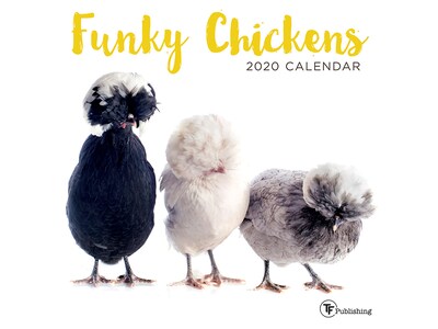2020 TF Publishing 7 x 7 Mini Wall Calendar, Funky Chickens, Multicolor (20-2003)