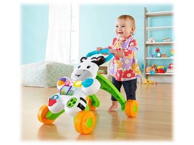 Fisher-Price Learn with Me Zebra Walker, Multicolor (DKH80)