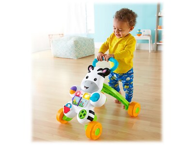 Fisher-Price Learn with Me Zebra Walker, Multicolor (DKH80)