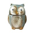 Gibson Home 7.5 Stoneware Blue Owl Cookie Jar