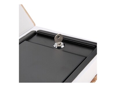 BARSKA Paris and London Dual Steel Book Safe with Key Lock, 0.07 cu. ft. (CB12470)