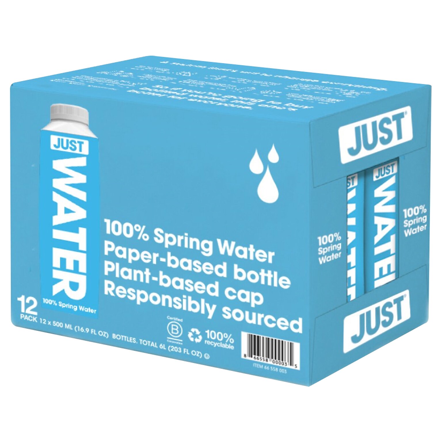Just Water 100% Spring Water, 16.9 oz., 12 Bottles/Carton (66558003)