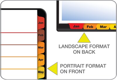 Cardinal OneStep Monthly Paper Dividers, 12-Tab, Multicolor (CRD 60318CB)