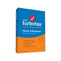 Intuit TurboTax Home/Business Fed and E-File State 2019 for 1 User, Windows and Mac, CD w/ Download (607333)