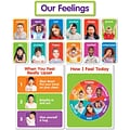 Scholastic® Our Feelings Bulletin Board Set, 15/Set (SC-834481)