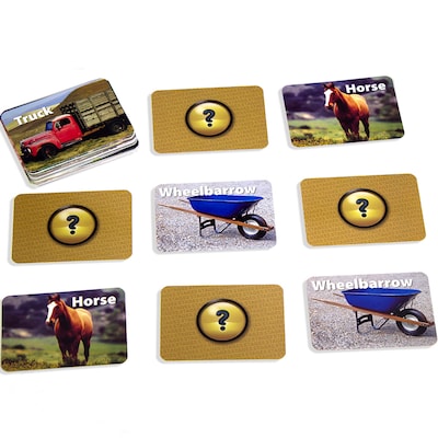 Stages Learning Materials Photographic Memory Matching Game, On the Farm, Grades PreK+ (SLM224)