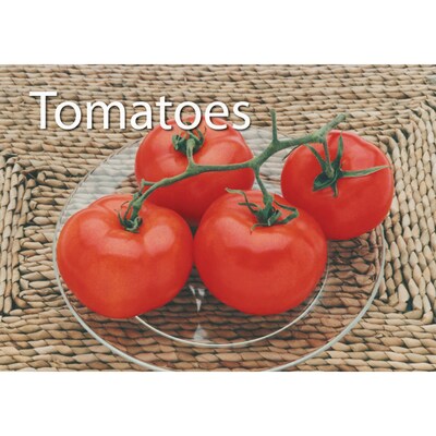 Stages Learning Materials Photographic Memory Matching Game, Food, Grades PreK+ (SLM225)