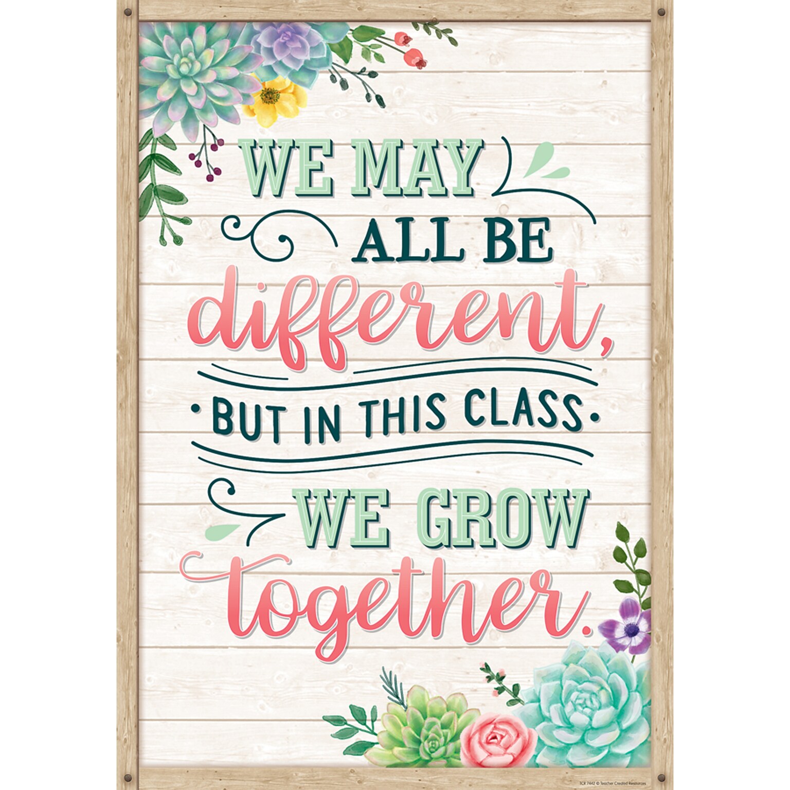 Teacher Created Resources® 13 x 19 We May All Be Different, But In This Class We Grow Together Positive Poster (TCR7442)