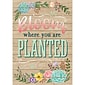 Teacher Created Resources® 13" x 19" Bloom Where You Are Planted Positive Poster (TCR7428)