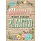 Teacher Created Resources® 13 x 19 Bloom Where You Are Planted Positive Poster (TCR7428)