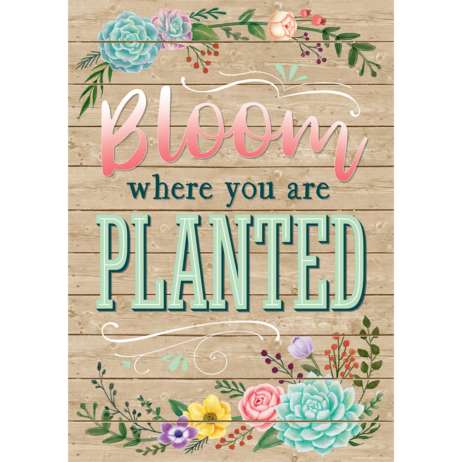 Teacher Created Resources® 13 x 19 Bloom Where You Are Planted Positive Poster (TCR7428)