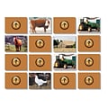 Stages Learning Materials Photographic Memory Matching Game, On the Farm, Grades PreK+ (SLM224)