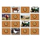 Stages Learning Materials Photographic Memory Matching Game, On the Farm, Grades PreK+ (SLM224)