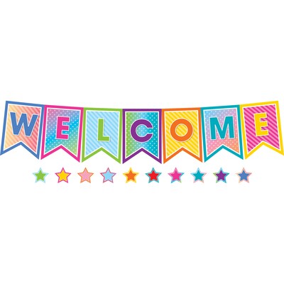 Teacher Created Resources® Colorful Vibes Pennants Welcome Bulletin Board Set, 55/Set (TCR8753)