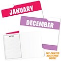 Top Notch Teacher Products Months of the Year Designer 1/3 Tab File Folder, Letter Size, Multicolor, 12/Pack (TOP3394)
