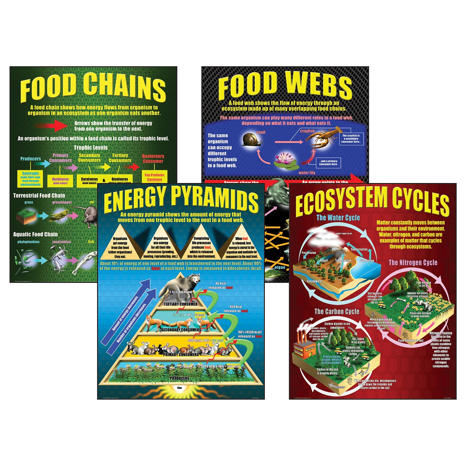 Teacher Created Resources® 17 x 22 Ecosystems Teaching Poster Set (MC-P059)