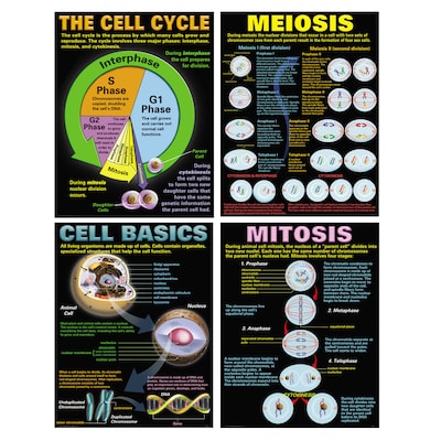 Teacher Created Resources® 17 x 22 Cells Teaching Poster Set (MC-P127)