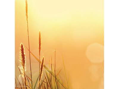 Great Papers! Fall Mood Holiday Letterhead, Multicolor, 80/Pack (2019086)