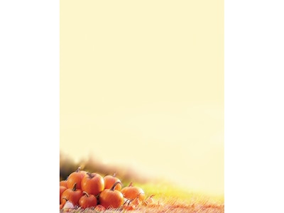 Great Papers! Glistening Pumpkins Holiday Letterhead, Multicolor, 80/Pack (2019087)