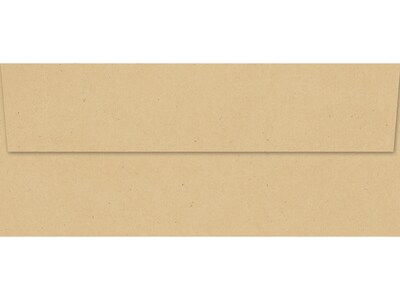 Great Papers! Kraft Everyday Envelope, 40/Pack (2019103)