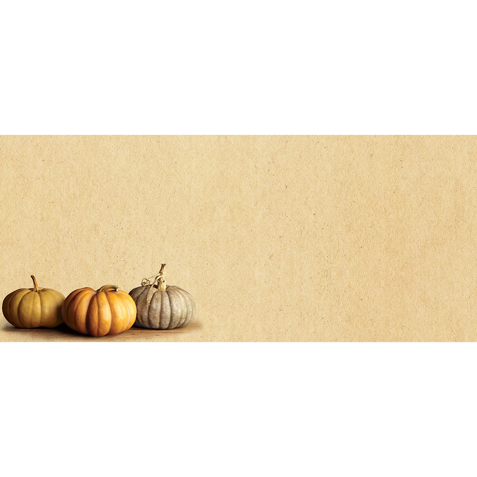 Great Papers! Fall Pumpkins Holiday Envelopes, Multicolor, 40/Pack (2019094)