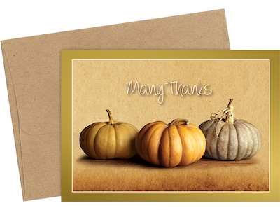 Great Papers! Fall Pumpkins Matte Personal Thank You Notecard, Multicolor, 50/Pack (2019092)