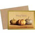 Great Papers! Fall Pumpkins Matte Personal Thank You Notecard, Multicolor, 50/Pack (2019092)