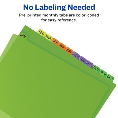 Avery Plastic Pre-Printed Monthly Plastic Divider, Jan-Dec Tabs, Multicolor, 1 Set (11331)