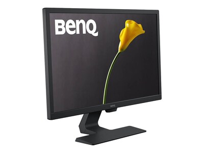 BenQ GL2480 24